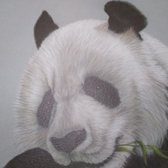 Panda II AP 10/100 by Harold Rigsby Signed - Picture 4 of 9